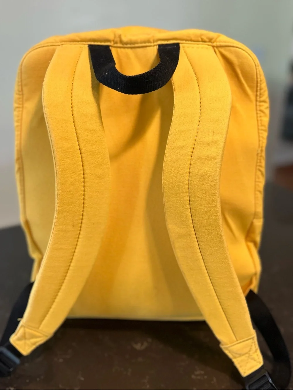 Wizarding World of Harry Potter Hufflepuff Backpack